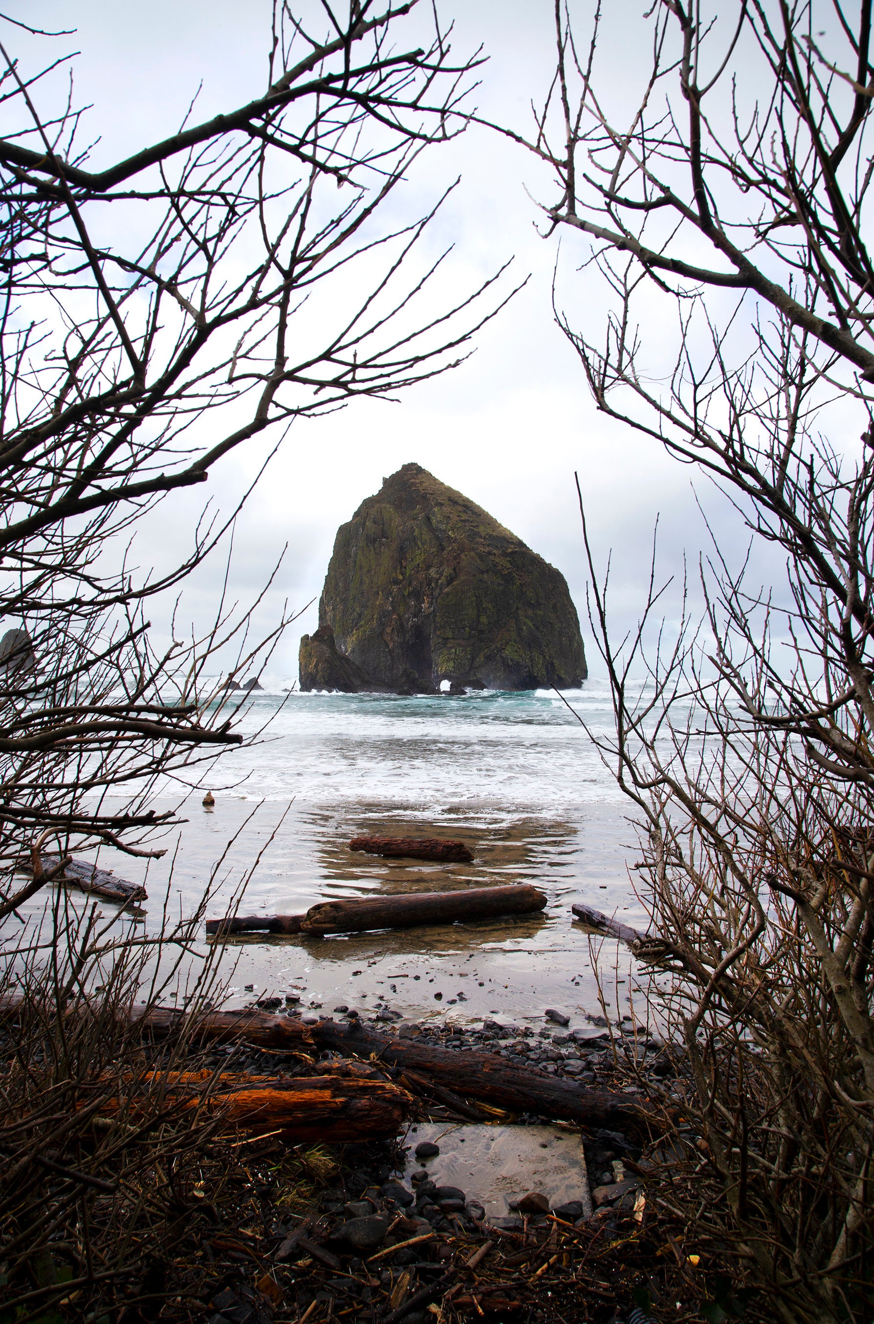 Haystack Rock at Cannon Beach | Paint-by-Number Kits for Adults — Elle Crée  (she creates)
