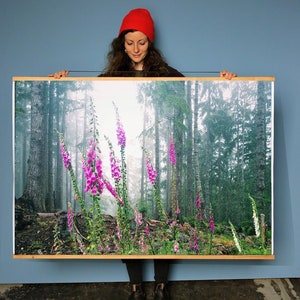 Wildflower Art Print.Foxgloves.Pacific Northwest.Fine Art Photography.Forest.Washington.Olympic Peninsula.SEVERAL SIZES