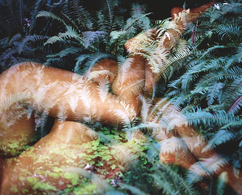 May include: A double exposure photograph of a person lying in a bed of ferns. The person's body is partially obscured by the ferns, creating a layered effect.