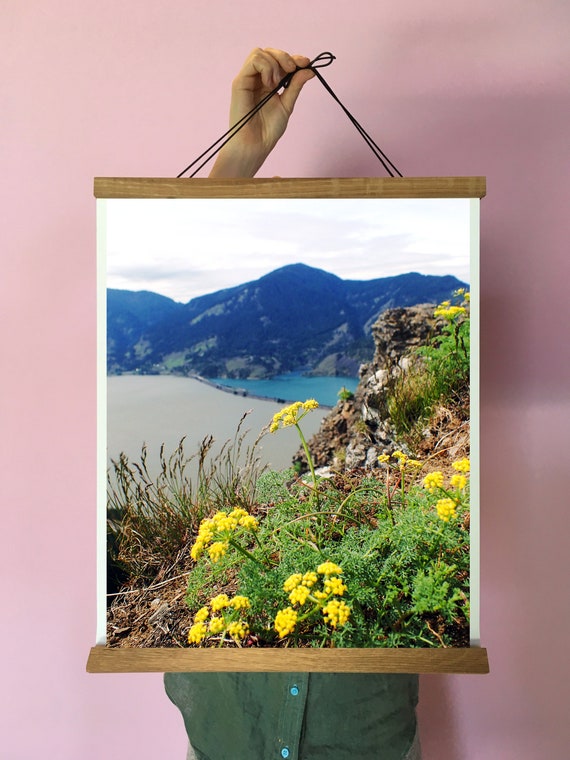 Wildflower Art Oregon Columbia River Gorge Walldecor Yellow Etsy