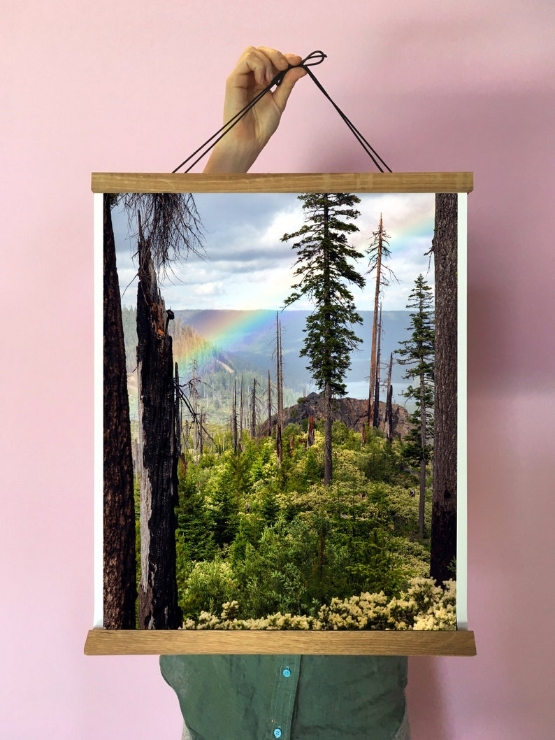 Oregon Rainbow Art Print.Fine Art Photography.Forest.Trees.Pacific Northwest.Santiam Pass. SEVERAL SIZES image 1