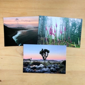 Cartes postales.Côte ouest.3 x 6 po. Jeu.Cartes postales roses.Photographies.Art Postcard.Artistic.Wild Flowers.Joshua Tree.Foxglove.Ocean.Sunset