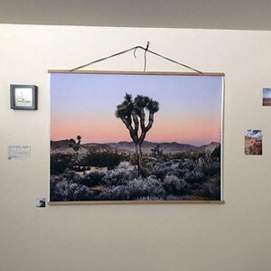 May include: A framed photograph of a Joshua Tree in the desert at sunset. The photo is hanging on a white wall with other smaller framed photos.