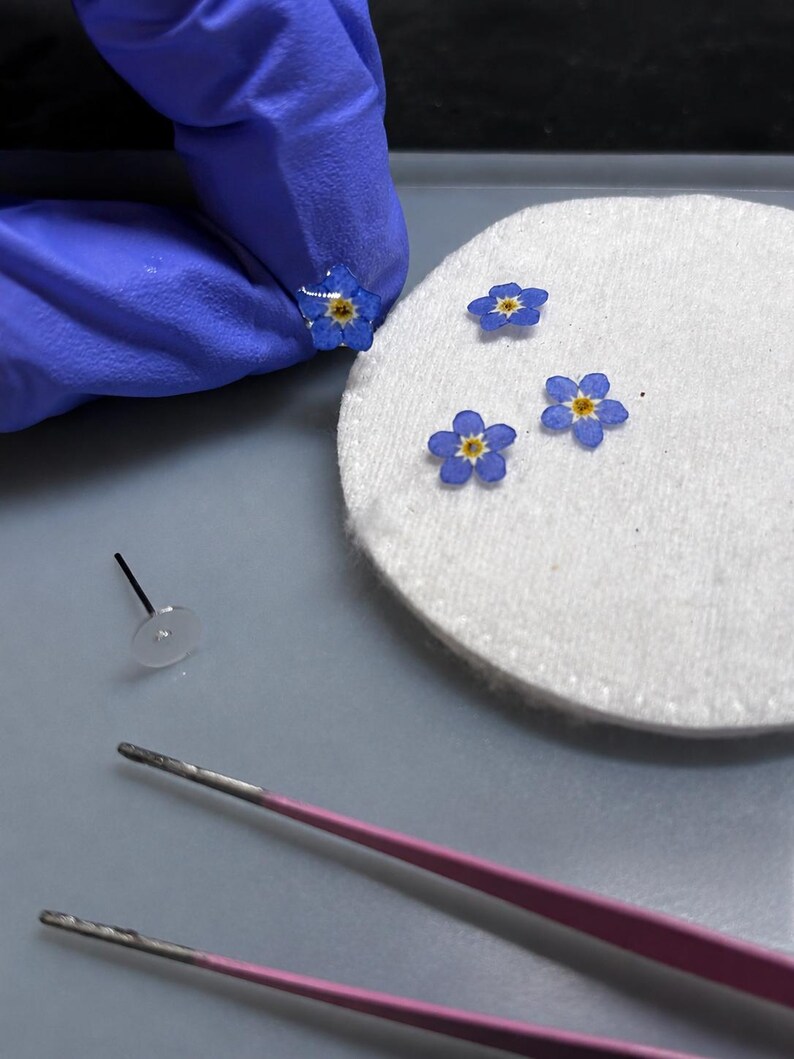 May include: Small blue forget-me-not flowers with yellow centers, preserved and encased in clear resin. The set includes individual flower components, a clear earring post with a flat pad, and a pair of pink metal tweezers for assembly.