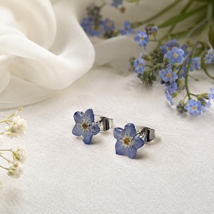 May include: A pair of stud earrings featuring small, five-petaled blue forget-me-not flowers with yellow centers. The flowers are preserved and set onto silver-toned metal posts with butterfly backings, showcasing delicate natural textures.