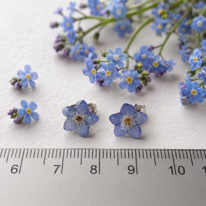 May include: A pair of stud earrings featuring pressed blue forget-me-not flowers with yellow centers. The earrings are positioned above a metric ruler showing a scale in centimeters, accompanied by loose blue forget-me-not flowers nearby.