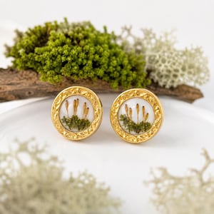 本物の植物苔スタッドピアス、ハンドメイド樹脂ジュエリー、スカンジナビア風ゴールドフォレストネイチャーピアス、押し花ギフト（女性向け）