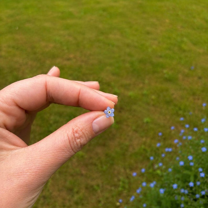 May include: A tiny, five-petaled light blue flower with a small yellow center. The flower has delicate, rounded petals and is held between two fingers, showcasing its miniature size and vibrant color against a blurred green outdoor background.