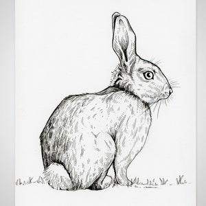 Hand-drawn Greeting Card - Rabbit - 5&quot; x 7&quot;