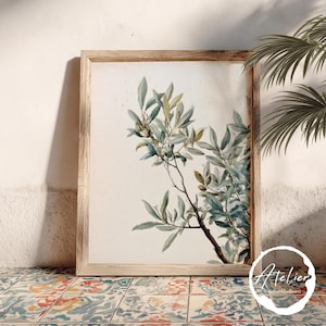 Può includere: Una stampa botanica incorniciata con un'illustrazione ad acquerello di rami di ulivo con foglie verdi e verde-blu. L'opera d'arte è incorniciata in una cornice di legno chiaro, appoggiata su una superficie piastrellata colorata.
