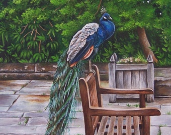 Peacock Art Print from an original painting