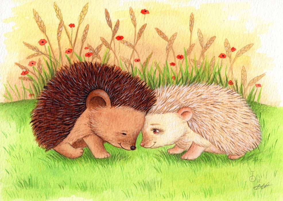 ✧Mǟɢɨƈֆȶօʀʍ✧° — Old Hedgehog Cuddles