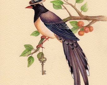 Blue Magpie Art Print from an original watercolour painting by Irene Owens