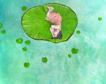 Lily Pad Dreams, a print from an original watercolour painting by Irene Owens