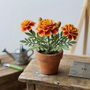 May include: A miniature potted marigold plant with vibrant orange and yellow petals and green leaves, housed in a small terracotta-colored clay pot. A metal ruler is positioned next to the pot, showing measurements in millimeters.