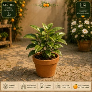 STL-bestand (1:12) voor een mini citrusplant in een terracotta pot, geschikt voor tuindiorama's, kamerdecoratie en cottagecore-stijl.