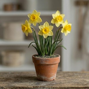1:12 Poppenhuis Narcis, Miniatuur Gele Bloempot, Poppenhuis Tuinplant STL-bestand