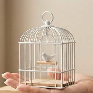 May include: A small white metal birdcage featuring a domed top with a circular hanging loop. Inside the cage, a tiny white ceramic bird sits perched on a horizontal wooden dowel. The base of the cage is a flat, rectangular wooden platform.