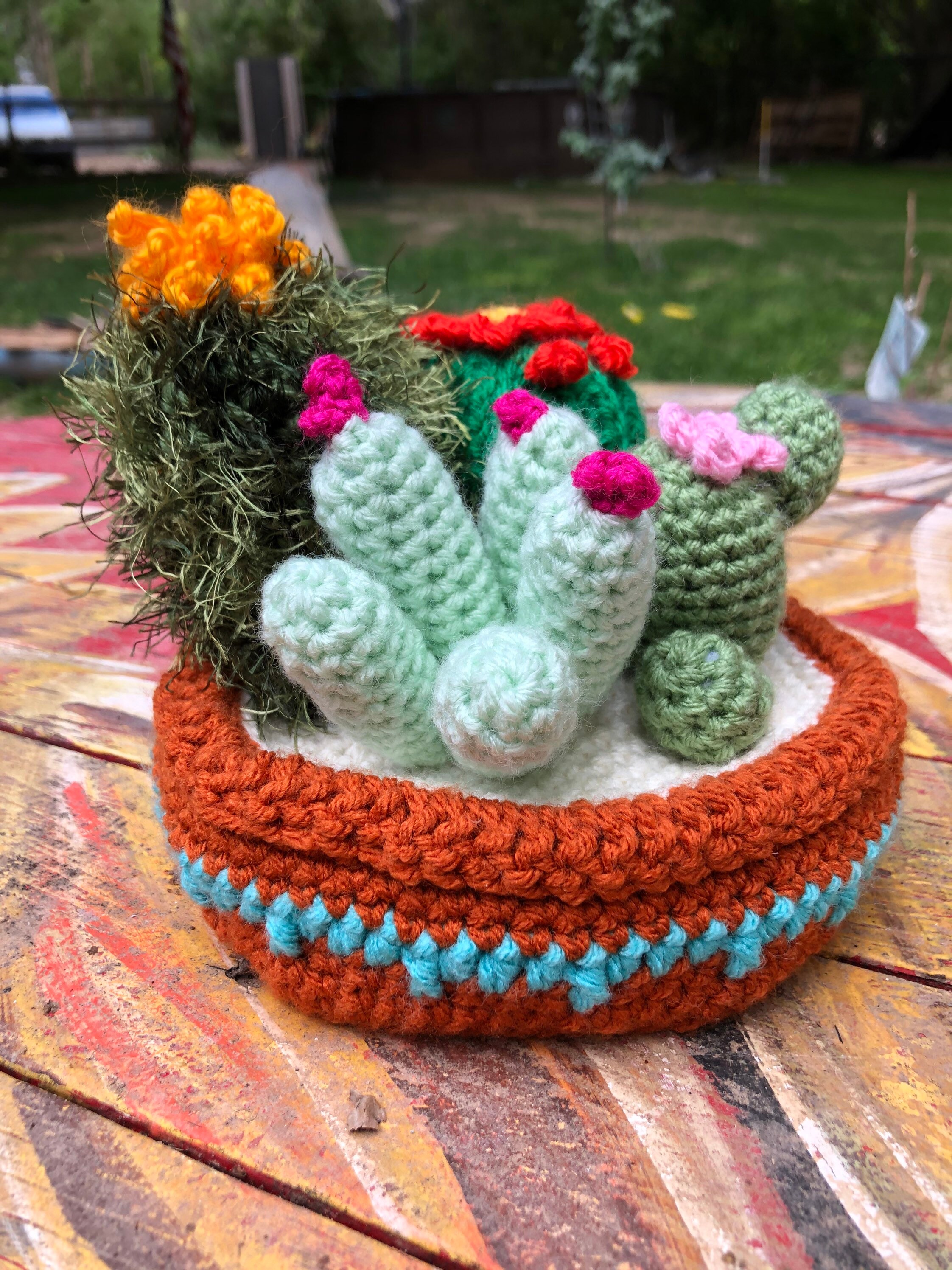 Crochet Cactus Garden 5 Cacti Assortment - Etsy