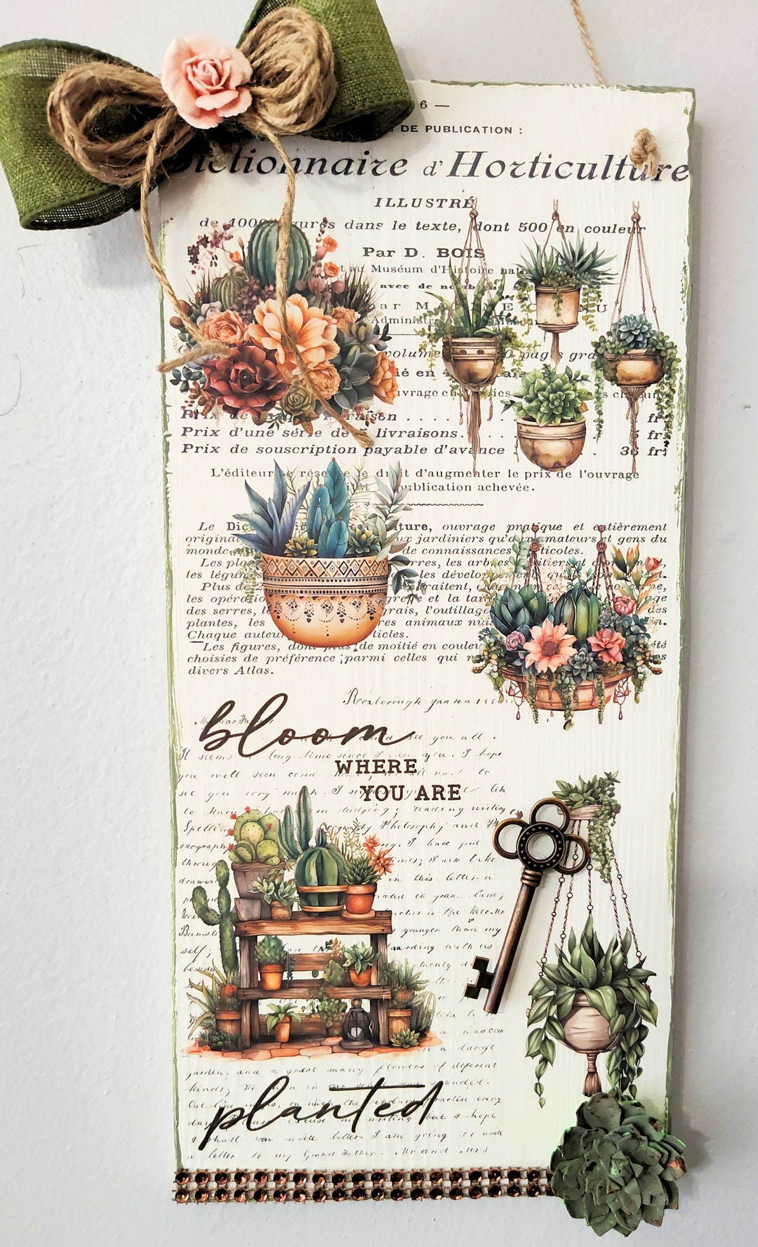 Wall Decor for Succulent/plant Lovers Features Beautiful Succulents in Various Arrangements Plus ...