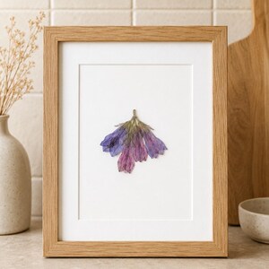 May include: A rectangular light wood frame containing a white mat board and a single pressed flower. The flower features delicate, overlapping petals in shades of purple, violet, and magenta, centered against the plain white background of the frame.