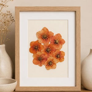 May include: A rectangular light wood frame containing a pressed flower art piece. The artwork features a cluster of seven vibrant orange hellebore flowers with visible dark centres, arranged on a cream-coloured background with a white mat border.