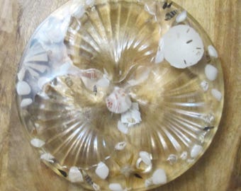 Könnte beinhalten: Ein runder, klarer Harzuntersetzer mit eingebetteten Muscheln und weißen Steinen. Der Untersetzer hat eine große, fächerförmige Muschel in der Mitte, umgeben von kleineren Muscheln und Kieselsteinen. Der Hintergrund ist hellbraun.