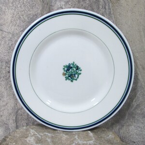 May include: A white ceramic plate with a blue and green border. The center of the plate features a green floral design with yellow accents.