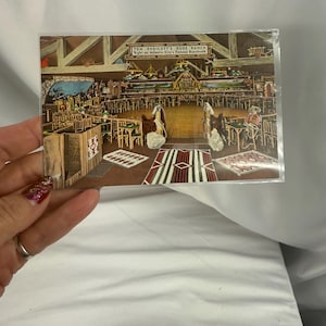 May include: Vintage postcard featuring Tom Endicott's Dude Ranch on Atlantic City's famous boardwalk. The interior scene shows tables, chairs, and decorative rugs. The postcard is in a protective sleeve.