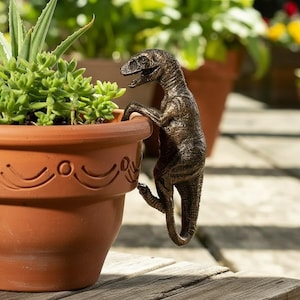 Peut inclure: Une figurine de dinosaure de couleur bronze avec une surface texturée est accrochée au bord d'un pot de fleurs en terre cuite. Le pot présente un motif décoratif en relief sur le bord supérieur et contient une plante succulente verte.