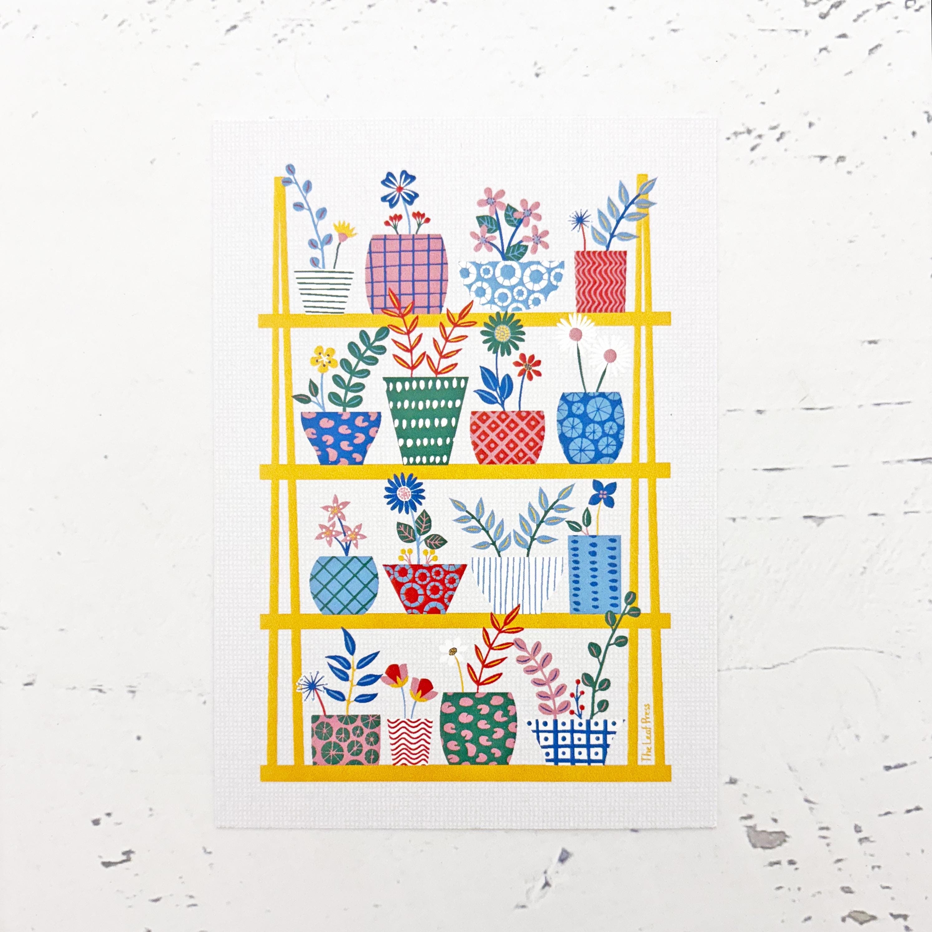 Flower Postcard Set With Hand-drawn Floral Patterns - Set of Six ...