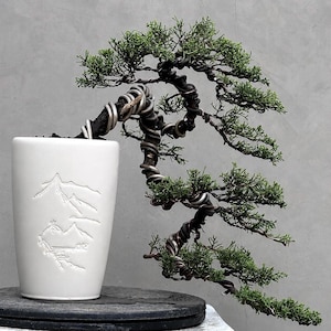 Op de afbeelding: Een bonsai boom met groene bladeren en een gedraaide stam, vastgehouden door zilverkleurig draad. De boom staat in een witte keramische pot met een bergontwerp. De pot staat op een donker, rond oppervlak tegen een grijze achtergrond.