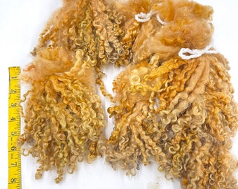 Hand Dyed WENSLEYDALE Locks for Felting, Spinning, Knitting. WHEAT Colors, Handmade, Textile Artist Supply.