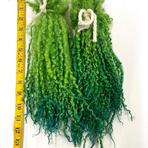 Hand Dyed Teeswater Wool Locks: Green Fiber Art Supplies