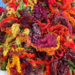 Fall Colored Wensleydale Teeswater Wool Locks: Hand Dyed Fiber Art Supply