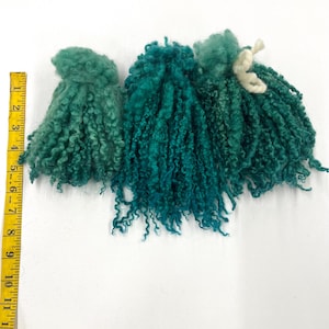 Hand-Dyed Teeswater Wool Locks: Green Fiber Art Supply, Felting, Spinning