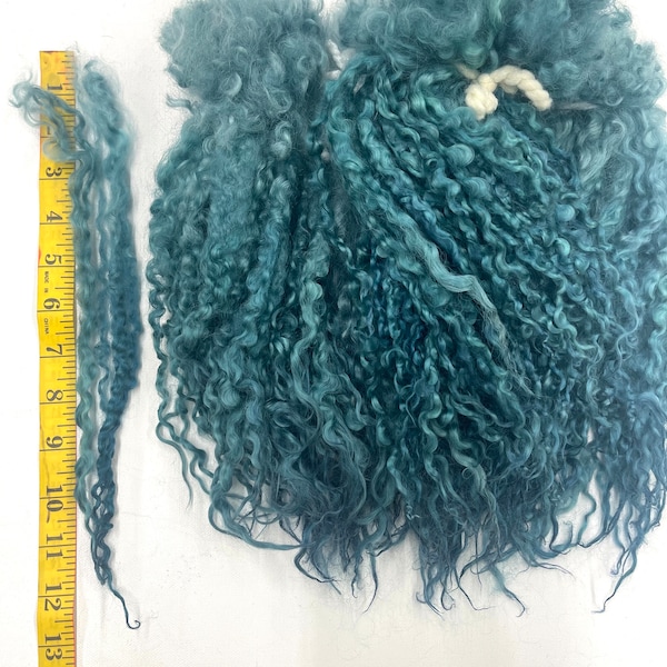 Hand Dyed Teeswater Long Wool Locks, 1st Clip, Felting, Spinning, Weaving, BLUE SPRUCE Colors, Handmade, Mixed Media, Textile Art