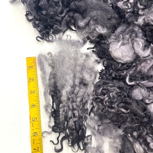 Hand Dyed Teeswater Wool Locks: Charcoal Black Fiber Art Supply