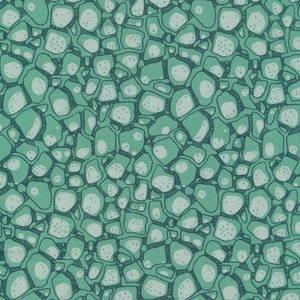 Mushroom Fabric, Cloud 9 Organic Cotton, Look Close Blue from  the Into the Woods Collection by Sarah Watson, Quilters Weight