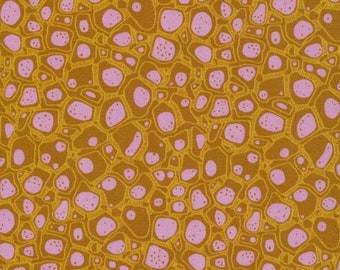 Mushroom Fabric, Cloud 9 Organic Cotton, Look Close Green from  the Into the Woods Collection by Sarah Watson, Quilters Weight