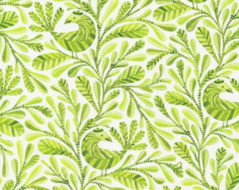 Bird Fabric, Cloud 9 Organic Cotton, Margot, Birds and Branches Collection by Kirsten Sevig, Quilters Weight, Green bird fabric