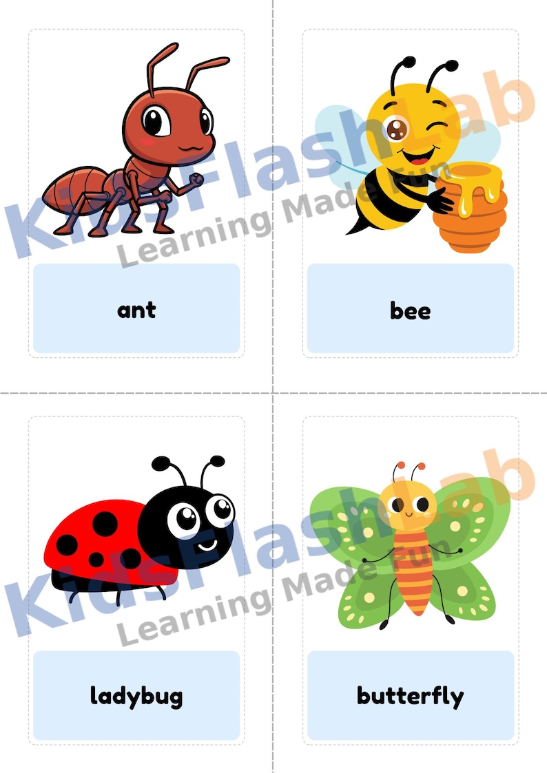 Insect Flash Cards for Kids Printable PDF Montessori Bug Vocabulary ...