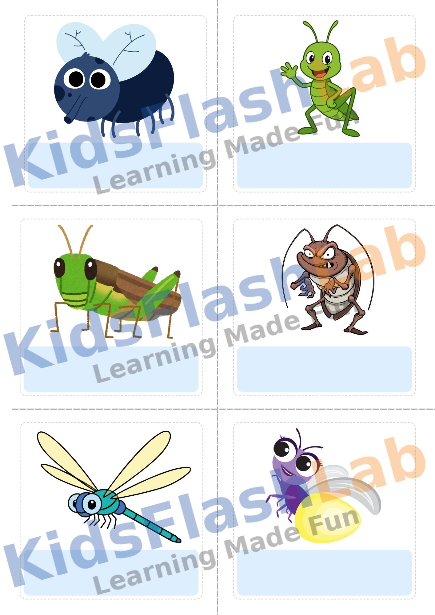 Insect Flash Cards for Kids Printable PDF Montessori Bug Vocabulary ...