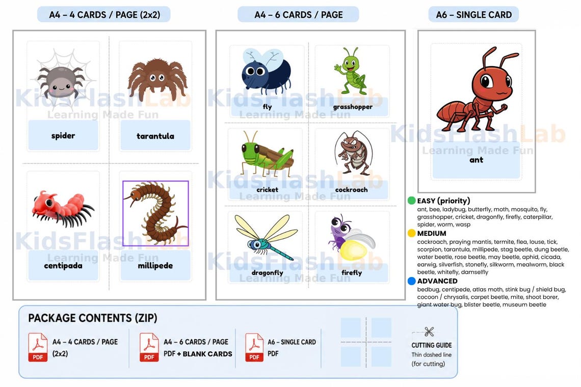 Insect Flash Cards for Kids Printable PDF Montessori Bug Vocabulary ...
