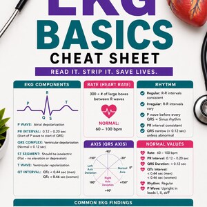 May include: A nursing study guide titled "EKG Basics Cheat Sheet" with medical diagrams and text. The guide includes information on EKG components, heart rate, rhythm, normal values, and common findings. A heart illustration is in the upper right.
