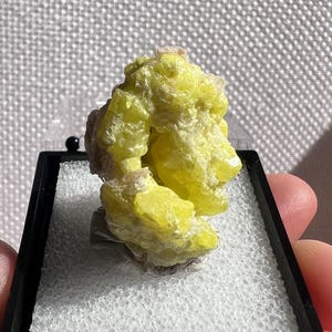 May include: A bright yellow sulfur mineral specimen with a crystalline, textured surface. The mineral is displayed inside a small, square black plastic box with a white foam insert, providing a clear view of its jagged, natural formation.