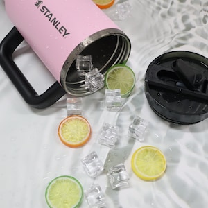 May include: A pink Stanley water bottle with a black handle and lid, surrounded by ice cubes and citrus fruit slices. The bottle is partially open, with ice cubes inside. The scene suggests a refreshing drink.