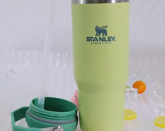 STANLEY IceFlow 30oz Tumbler with Handle, Prickly Pear Pink Insulated Straw Cup