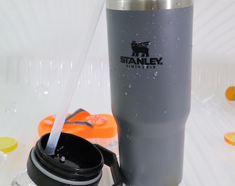 STANLEY IceFlow 30 oz Tumbler with Handle – Stainless Steel Straw Mug (Dried Pine)