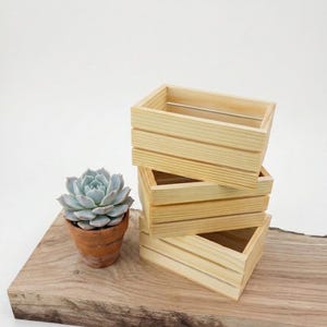 Rustikale Mini-Holzkisten - kleine Hochzeitsbevorzugungskästen, Tischdekoration, benutzerdefinierter Sukkulententopf, Bauernhaus-Hochzeitsdekor